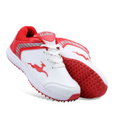 Baspo Cricket Shoes